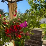 Rural Retreat - Quinta Sol 3 Bedroom House - Nazare, Portugal 度假居 Casal do Mota