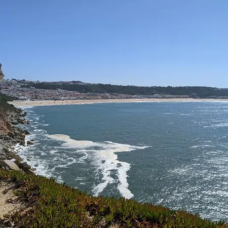 Rural Retreat - Quinta Sol 3 Bedroom House - Nazare, Portugal Prázdninový dům Casal do Mota