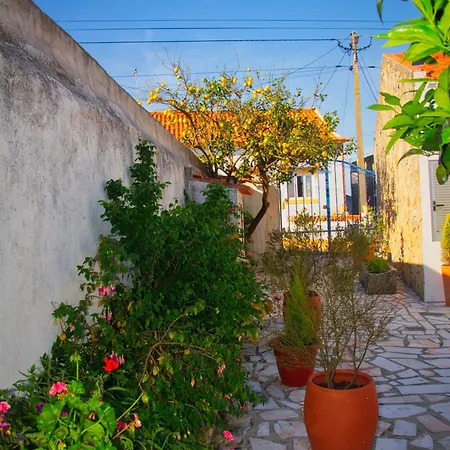 Rural Retreat - Quinta Sol 3 Bedroom House - Nazare, Portugal