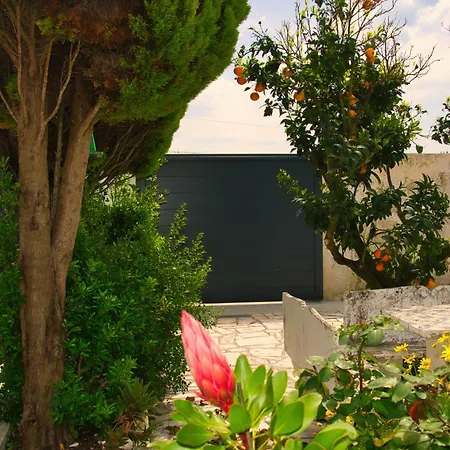 Rural Retreat - Quinta Sol 3 Bedroom House - Nazare, Portugal *