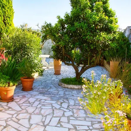 Rural Retreat - Quinta Sol 3 Bedroom House - Nazare, Portugal Feriehus