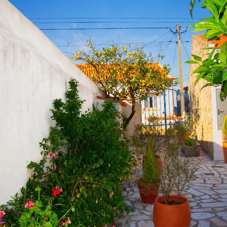 Rural Retreat - Quinta Sol 3 Bedroom House - Nazare, Portugal *