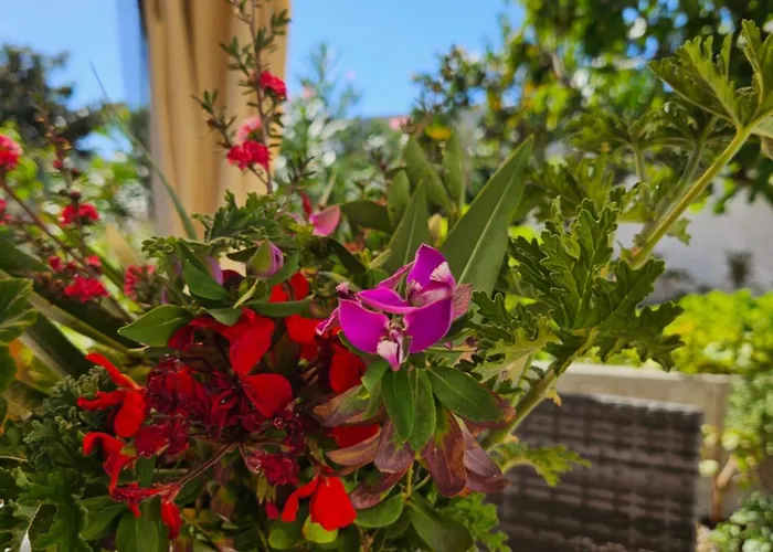 Rural Retreat - Quinta Sol 3 Bedroom House - Nazare, Portugal Prázdninový dům Casal do Mota